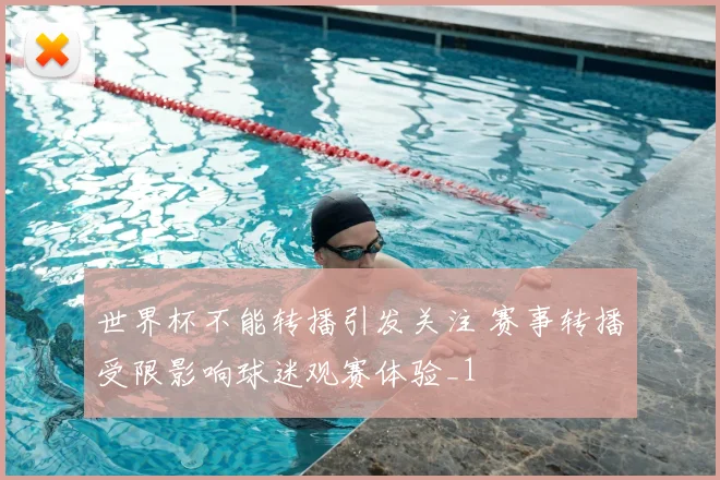世界杯不能转播引发关注 赛事转播受限影响球迷观赛体验_1