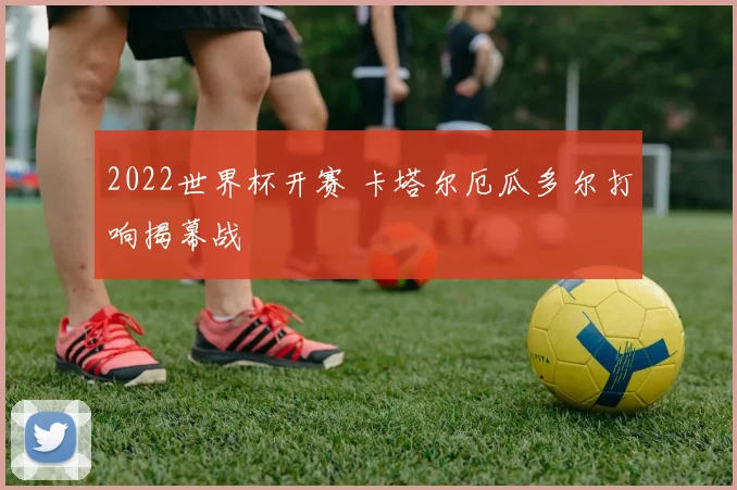 2022世界杯开赛 卡塔尔厄瓜多尔打响揭幕战