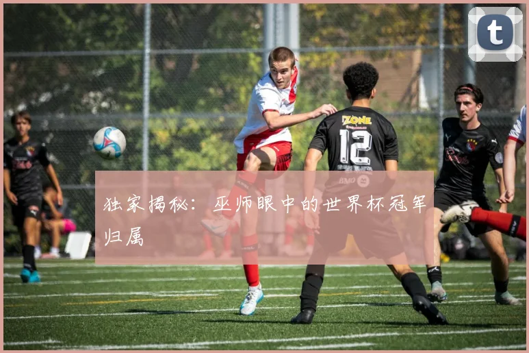 独家揭秘：巫师眼中的世界杯冠军归属