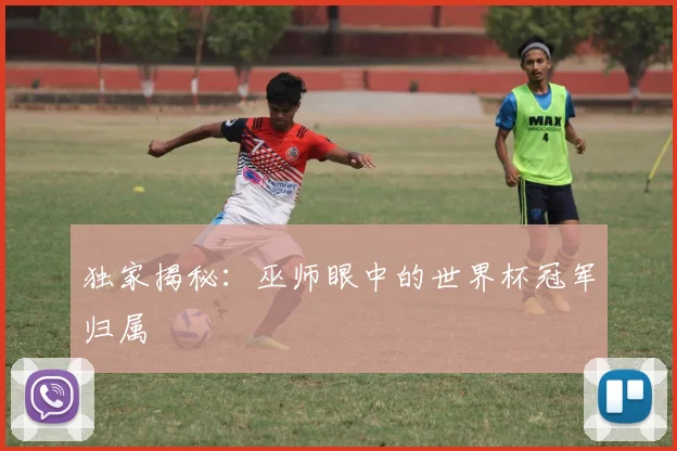 独家揭秘：巫师眼中的世界杯冠军归属