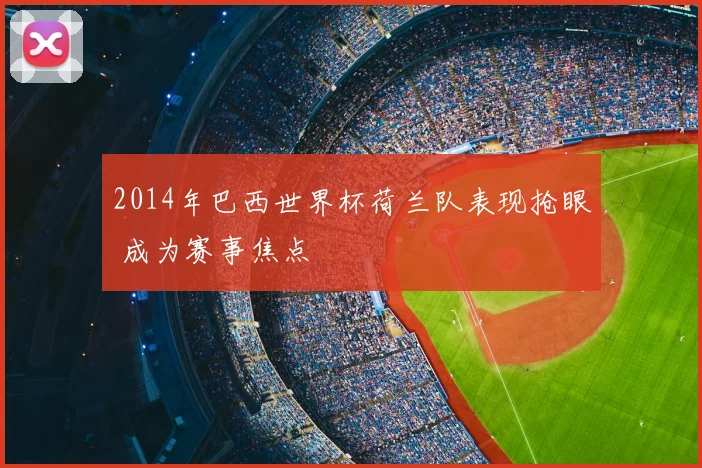 2014年巴西世界杯荷兰队表现抢眼 成为赛事焦点