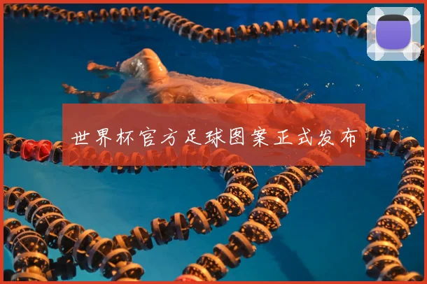 世界杯官方足球图案正式发布