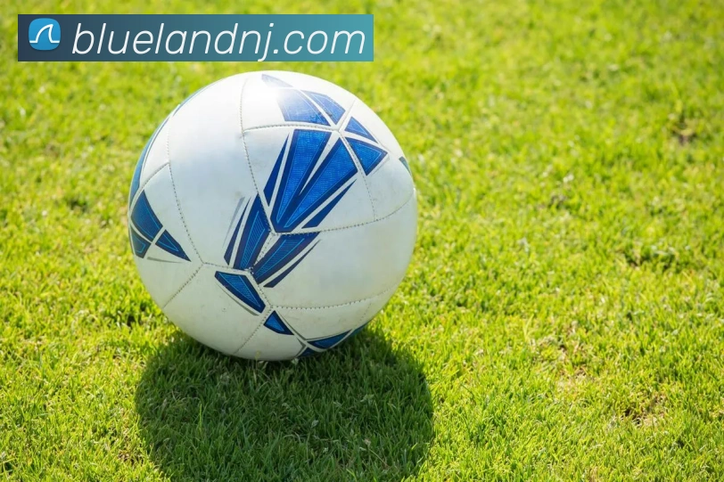 世界杯开户平台平台生态图